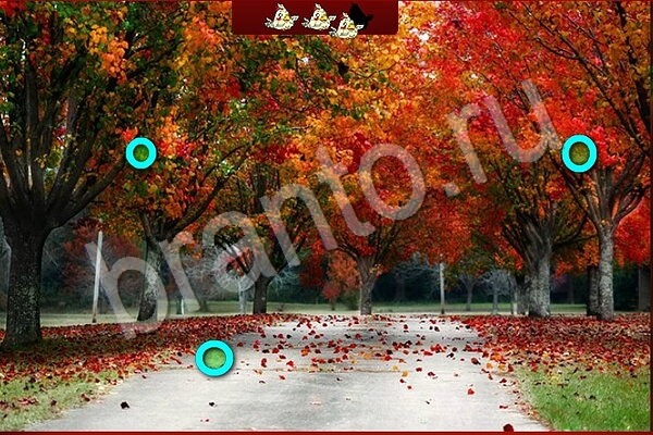 Птичий переполох ответы в картинках Уровень 716