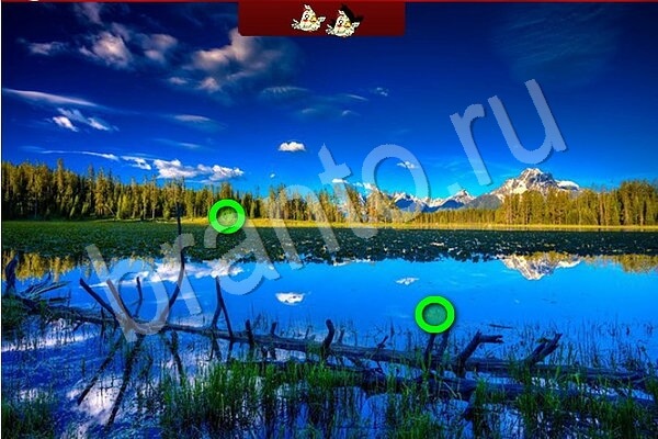 Игра Птичий переполох одноклассники ответы Уровень 717