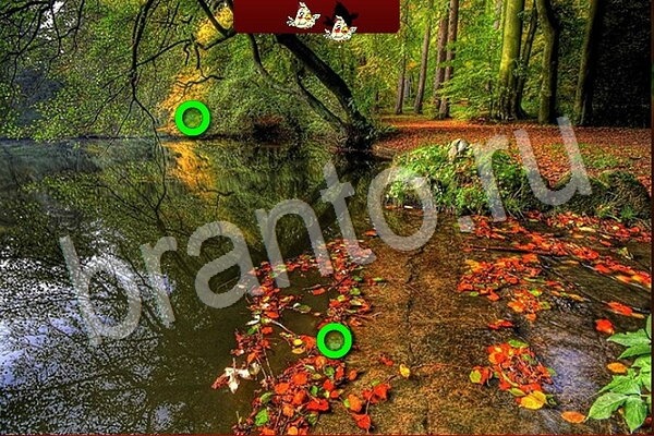 Подсказки на игру Птичий переполох Уровень 722