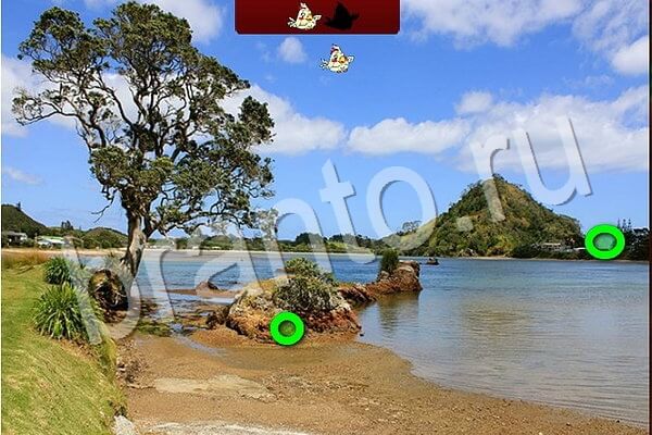 Помощь на игру ВК Птичий переполох Уровень 724