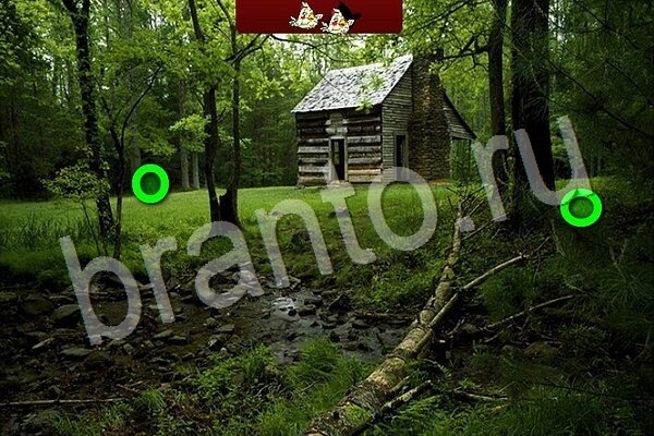 ответы к игре Птичий переполох Уровень 725