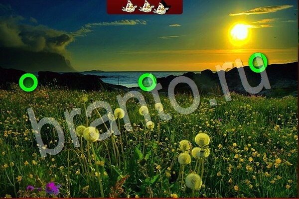 ответы на игру в одноклассниках Птичий переполох Уровень 726