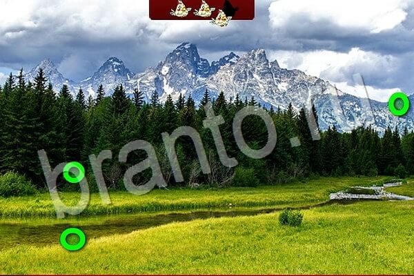 Одноклассники Птичий переполох ответы Уровень 728