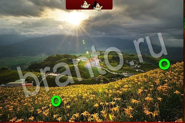 Птичий переполох подсказки в контакте Уровень 729