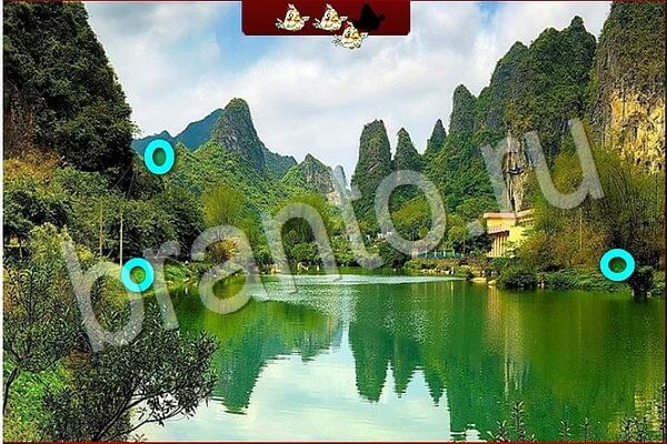 решебник на игру Птичий переполох Уровень 731