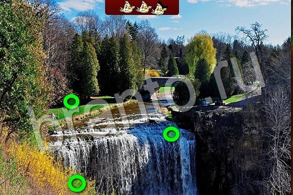 игра Птичий переполох одноклассники помощь Уровень 739