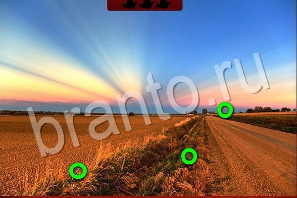 игра Птичий переполох ответ на Уровень 740