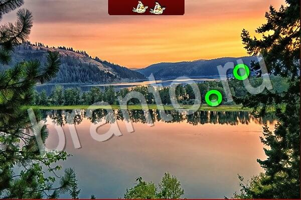 решебник на игру в контактеПтичий переполох Уровень 741