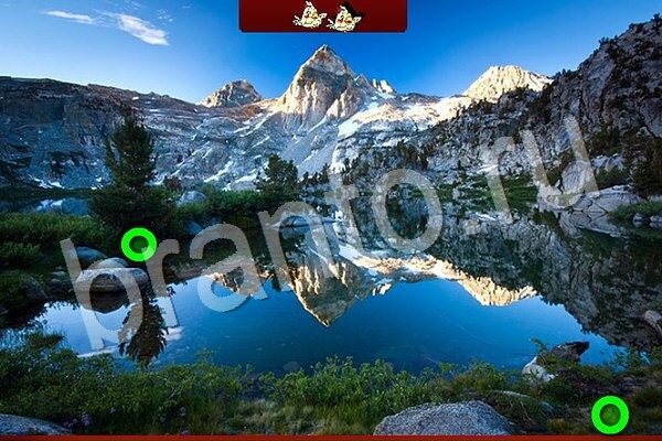 Птичий переполох игра в контакте ответы Уровень 743