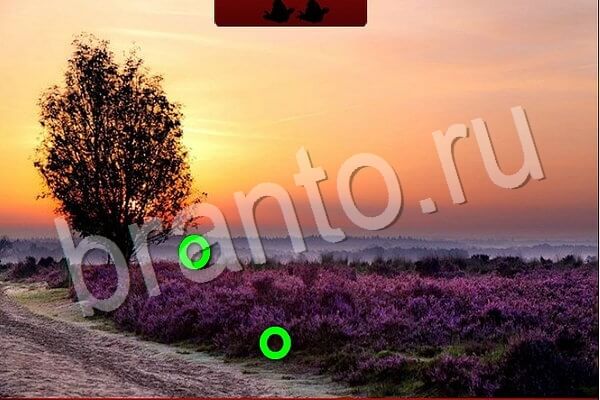 Птичий переполох ответы в картинках Уровень 746