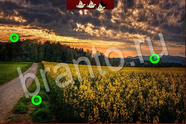 Игра Птичий переполох одноклассники ответы Уровень 747