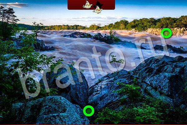 игра Птичий переполох ответ в контакте на Уровень 750