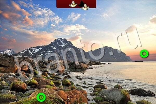 ответы на игру Птичий переполох в одноклассниках Уровень 781