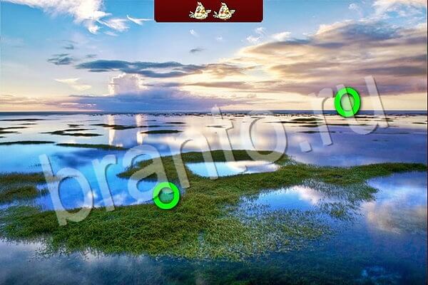 Решения на игру Птичий переполох Уровень 783