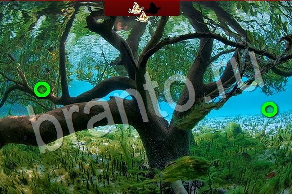 Птичий переполох игра ответы Уровень 793