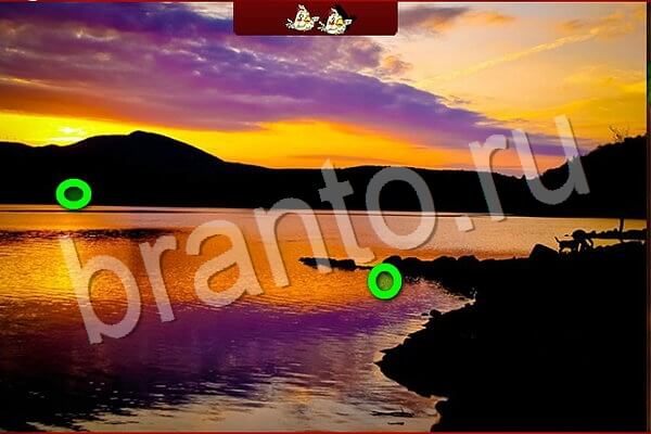 Птичий переполох игра подсказки Уровень 794