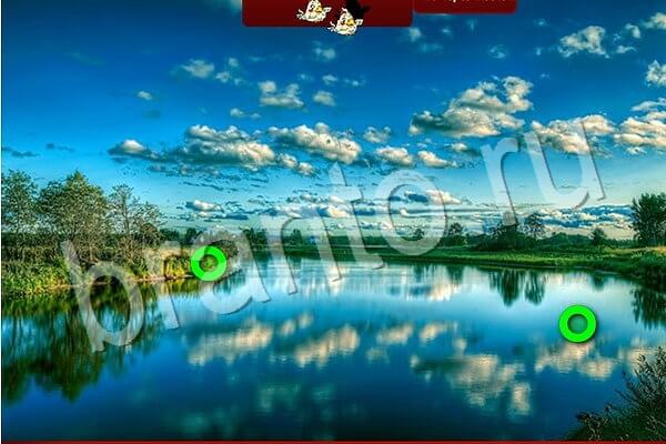 Птичий переполох ответы в картинках Уровень 796