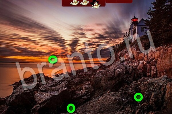 ВКонтакте Игра Птичий переполох подсказки Уровень 798