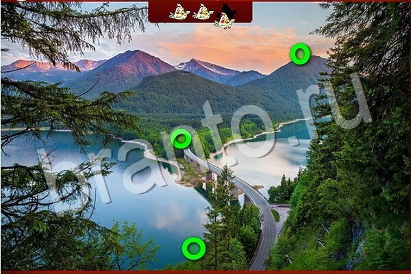 Птичий переполох игра в контакте ответы Уровень 803