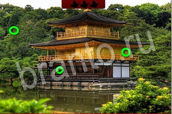 Птичий переполох игра из Одноклассников подсказки Уровень 804