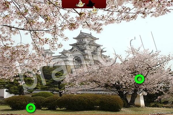 Птичий переполох ответы в картинках Уровень 806