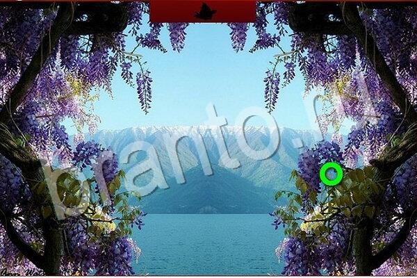 игра Птичий переполох помощь ВК Уровень 809