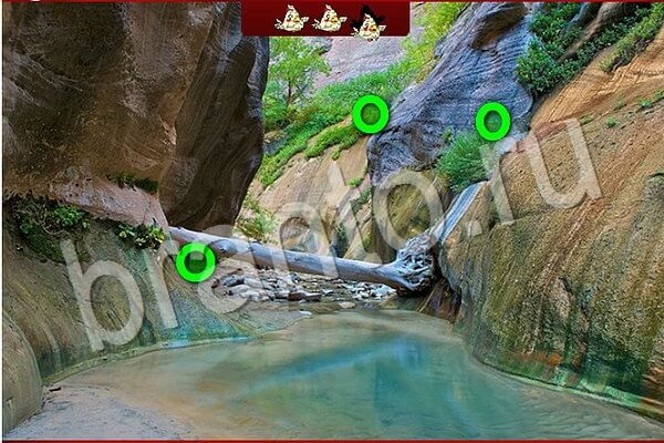 игра Птичий переполох ответ в контакте на Уровень 810