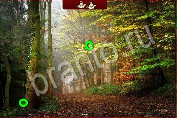 Подсказки на игру Птичий переполох Уровень 902