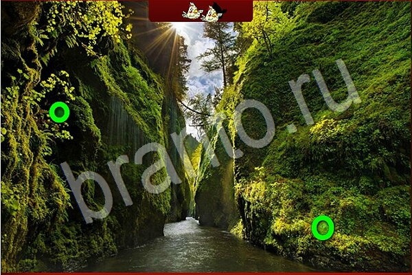 Решения на игру Птичий переполох Уровень 903