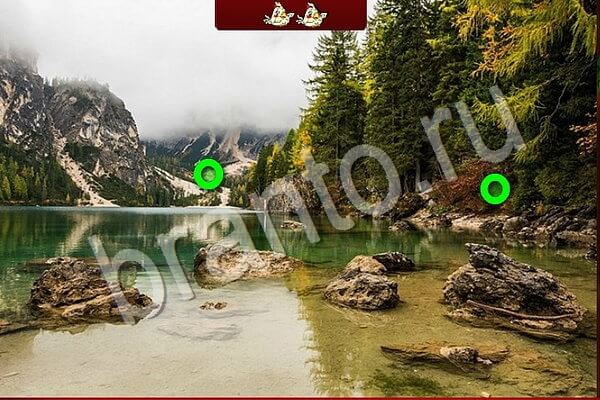 Помощь на игру ВК Птичий переполох Уровень 904