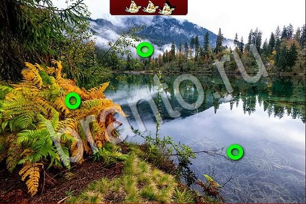 ответы к игре Птичий переполох Уровень 905