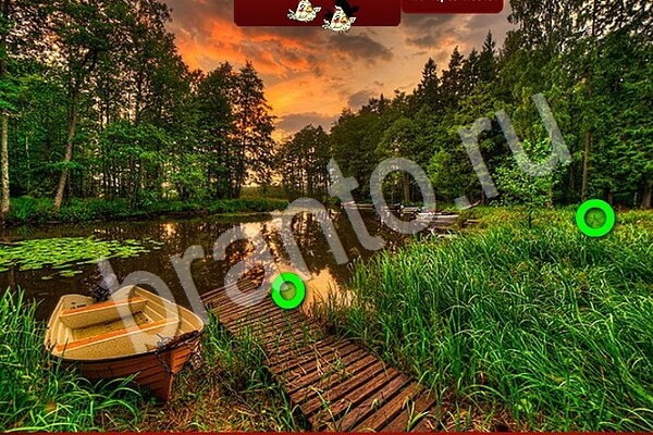 ответы на игру в одноклассниках Птичий переполох Уровень 906