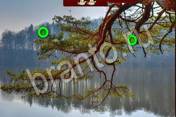 Птичий переполох игра ответы в одноклассниках Уровень 907