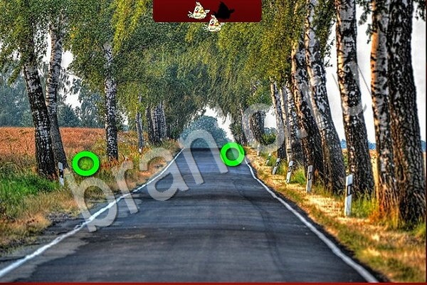 Одноклассники Птичий переполох ответы Уровень 908