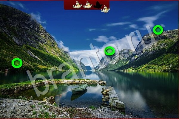 Птичий переполох подсказки в контакте Уровень 909