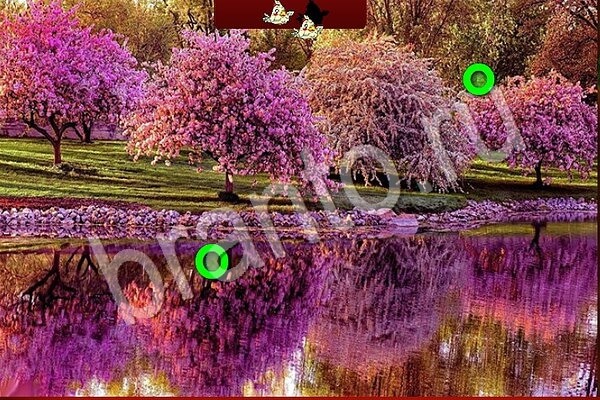 игра Птичий переполох ответ на Уровень 910