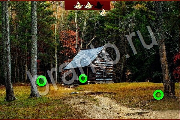 решебник на игру Птичий переполох Уровень 911