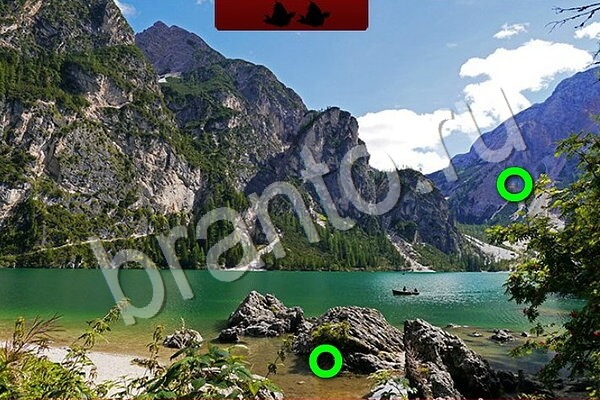 Птичий переполох решения Уровень 912