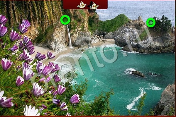 Птичий переполох ответы в картинках Уровень 916