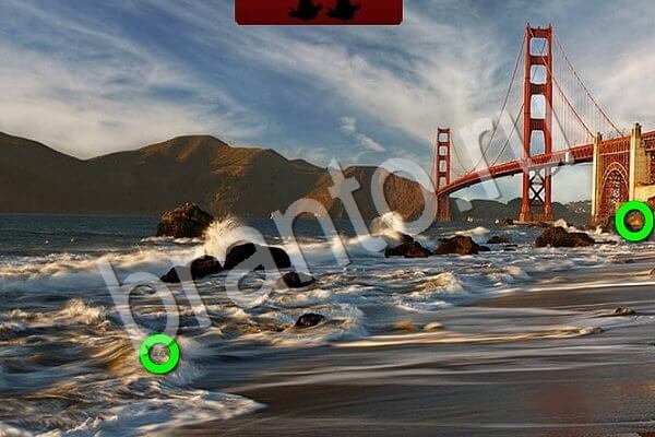 ВКонтакте Игра Птичий переполох подсказки Уровень 918