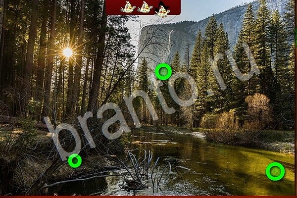 игра Птичий переполох одноклассники помощь Уровень 919