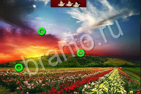 Птичий переполох игра в контакте ответы Уровень 923