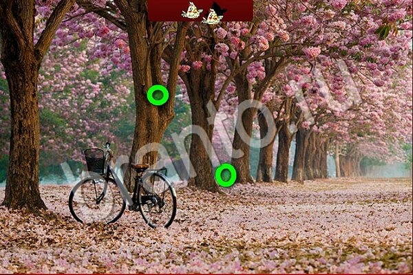 игра Птичий переполох помощь ВК Уровень 929