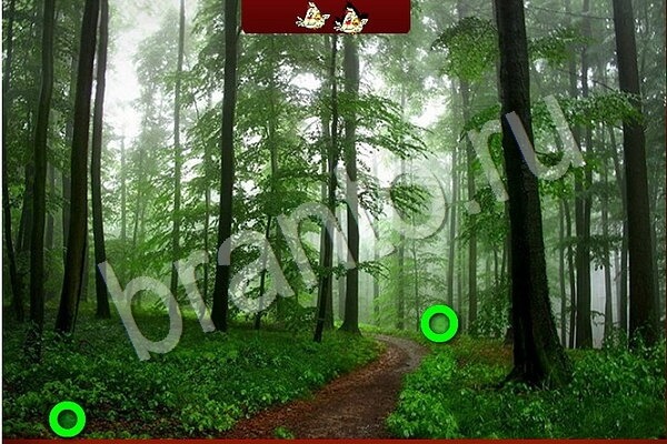 игра Птичий переполох ответ в контакте на Уровень 930