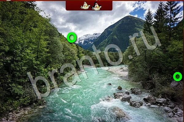 Подсказки на игру Птичий переполох Уровень 932