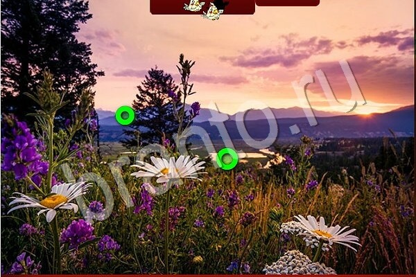 Птичий переполох подсказки в контакте Уровень 939