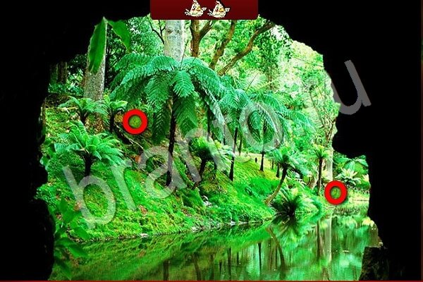 Птичий переполох ВК решения Уровень 952