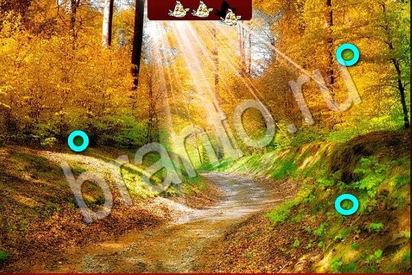 Птичий переполох игра из Одноклассников подсказки Уровень 954