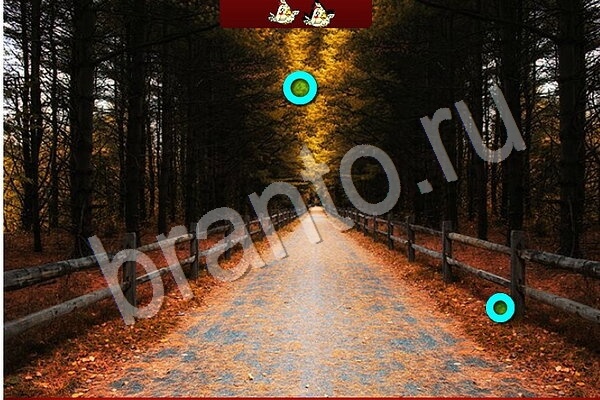 Птичий переполох игра в Одноклассниках помощь Уровень 955