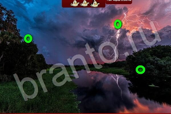 Птичий переполох подсказки в контакте Уровень 999